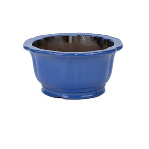 Bonsai pot cascade light blue lotus 22cm, height ~ 11cm