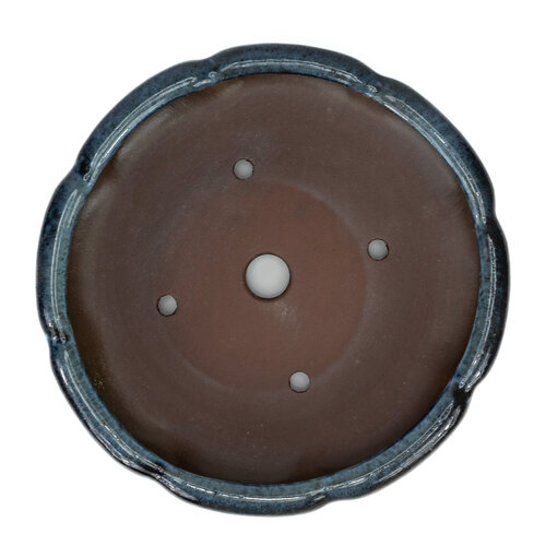 Bonsai pot blue lotus 30cm Bonsai pot blue lotus 30cm