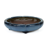 Bonsai pot blue lotus 30cm