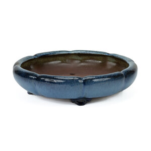 Bonsai pot blauw lotus 30cm Bonsai pot blauw lotus 30cm