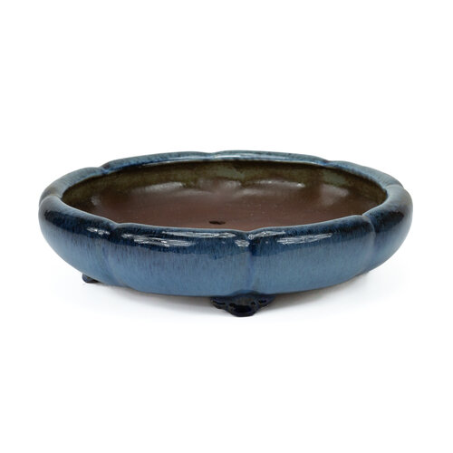 Bonsai pot blauw lotus 30cm Bonsai pot blauw lotus 30cm