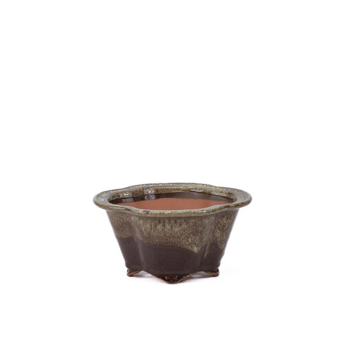 Bonsai pot chrysanten bruin beige 15.5cm