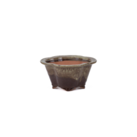 Bonsai pot chrysanthemum brown beige 15.5cm