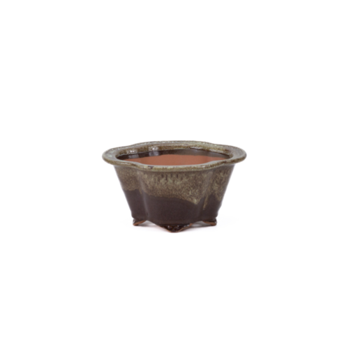 Bonsai pot chrysanthemum brown beige 15.5cm Bonsai pot chrysanthemum brown beige 15.5cm