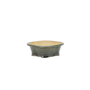 Bonsai pot chrysanten groen zwart 21cm