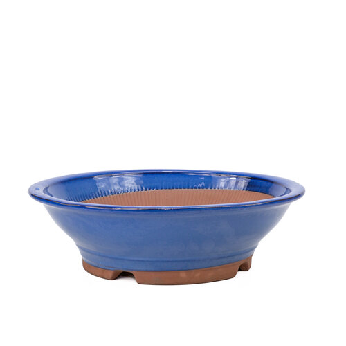 Bonsai pot blue round 36cm