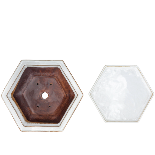 Bonsai pot white hexagon 21.5 cm - set
