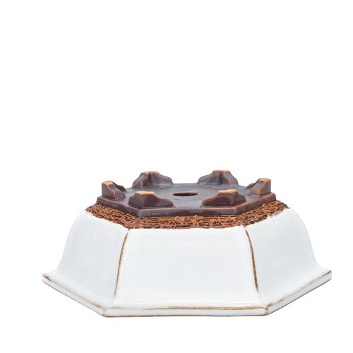 Bonsai pot white hexagon 21.5 cm - set