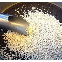 2026 Bonsai Verpotworkshop - Groep 1