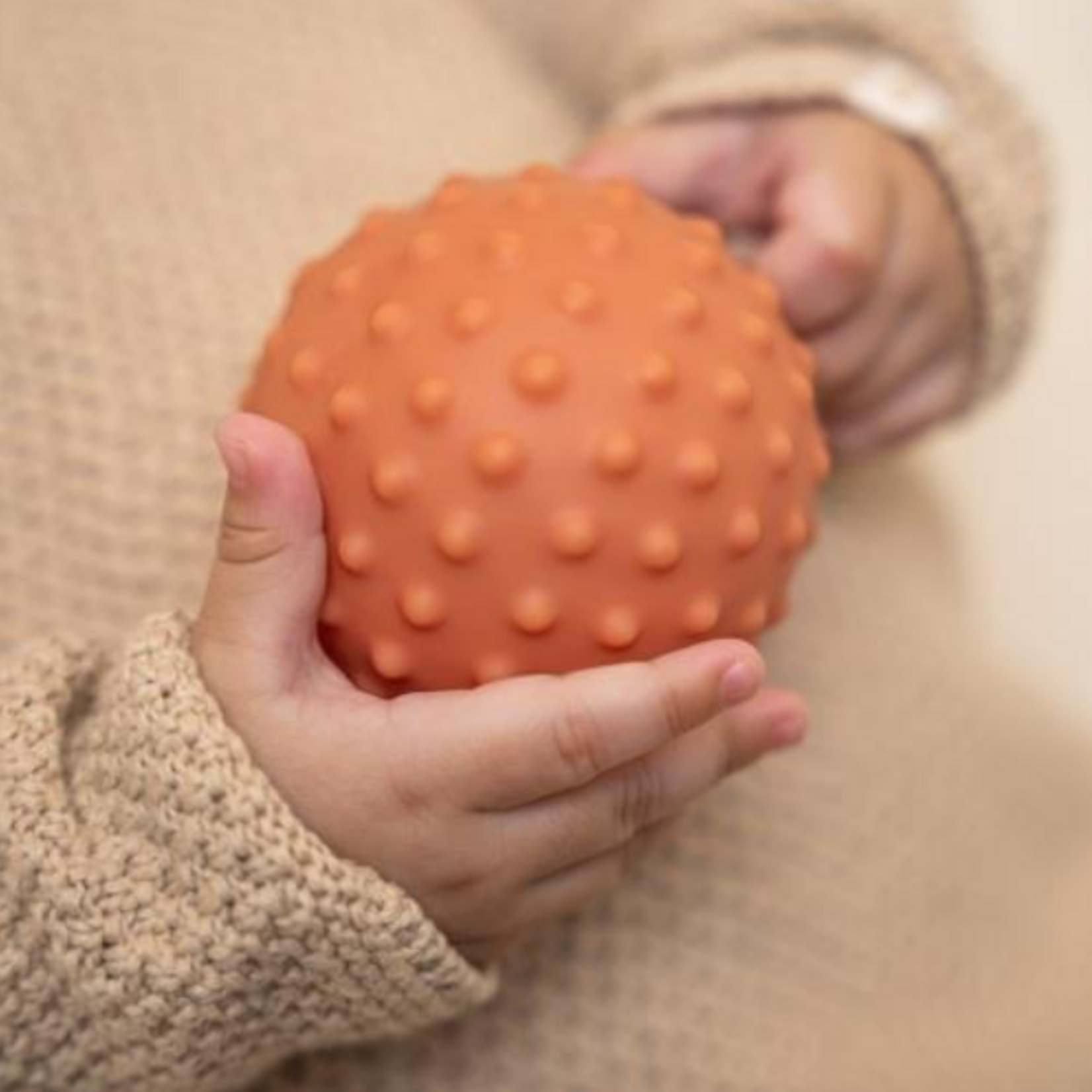 Little Dutch Toys - Litte Farm - Zintuigelijke ballen set