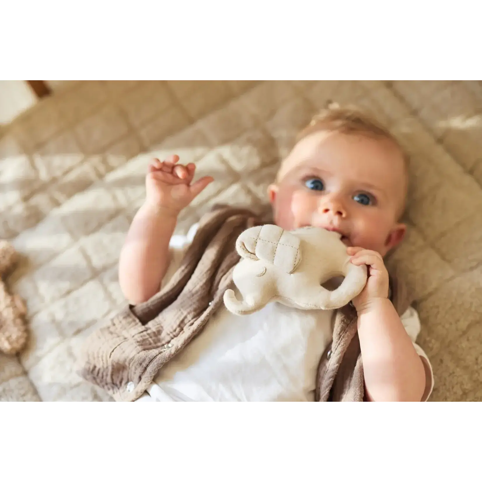 Jollein Jollein - Rammelaar - Elephant Tales