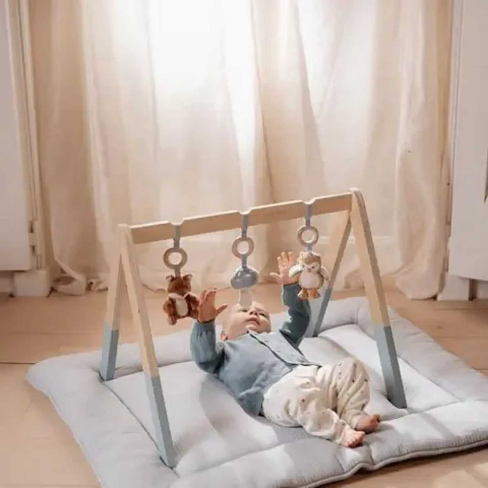 Little Dutch Toys -Babygym - Forest Friends NIEUWSTAAT - REEDS GEMONTEERD