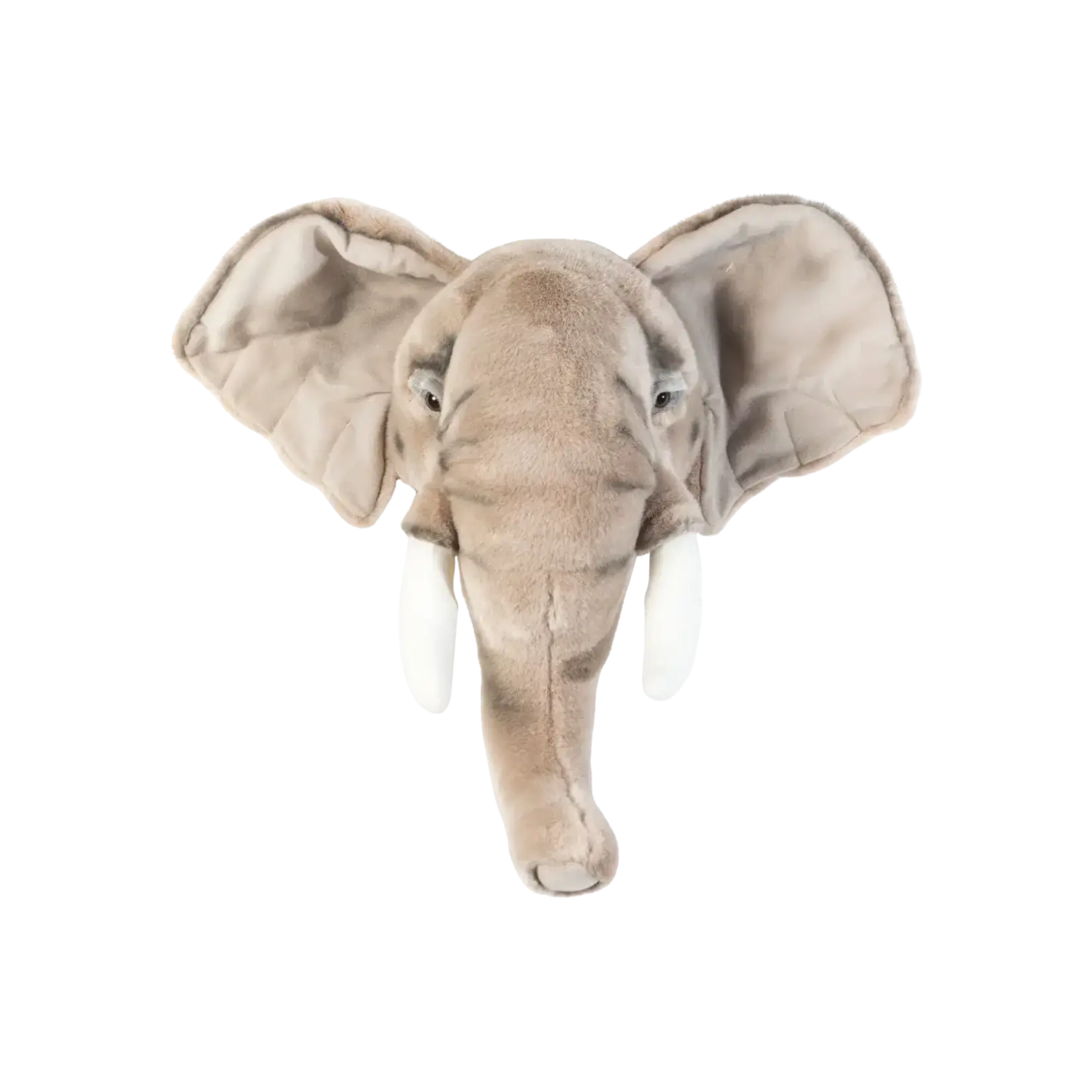 Wild & Soft Wild & Soft - Kop olifant George