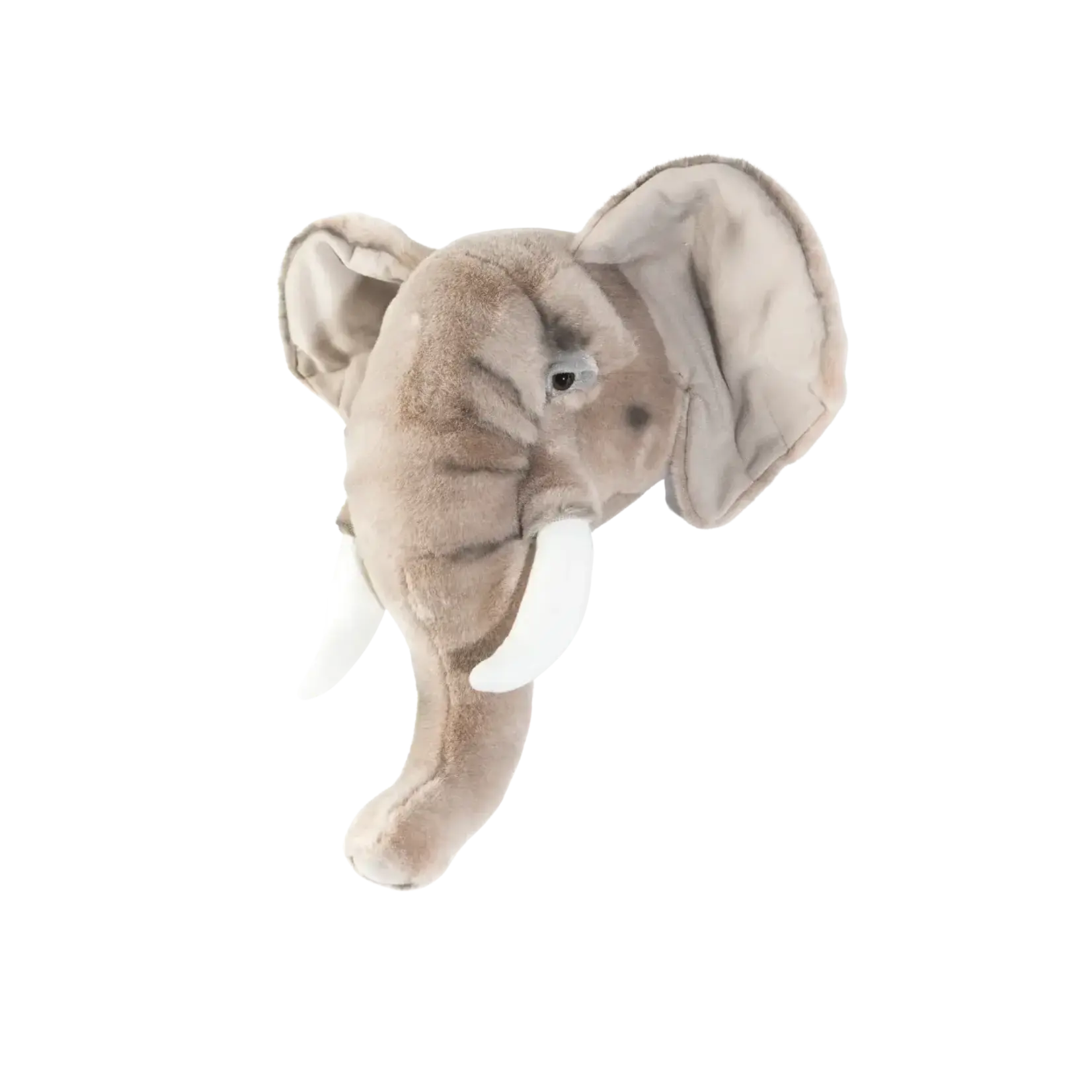 Wild & Soft Wild & Soft - Kop olifant George