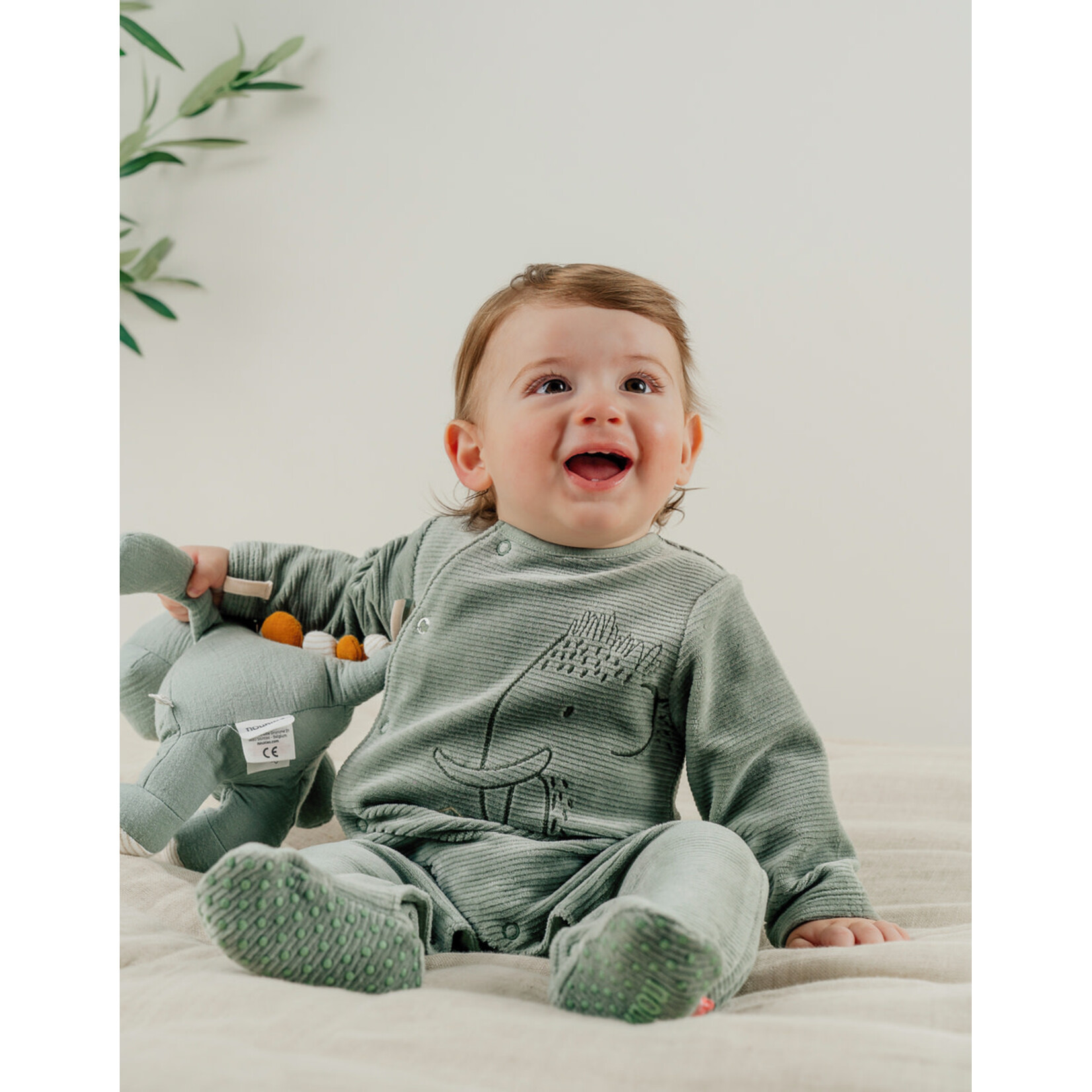 Noukies Noukies - Pyjama met Olifantenborduursel in Geribd Fluweel - Groen