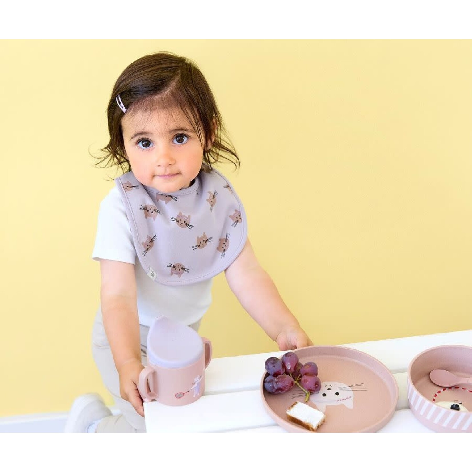 Lassig Lassig - Value Pack Bib 5 pcs Tiny Team Cat