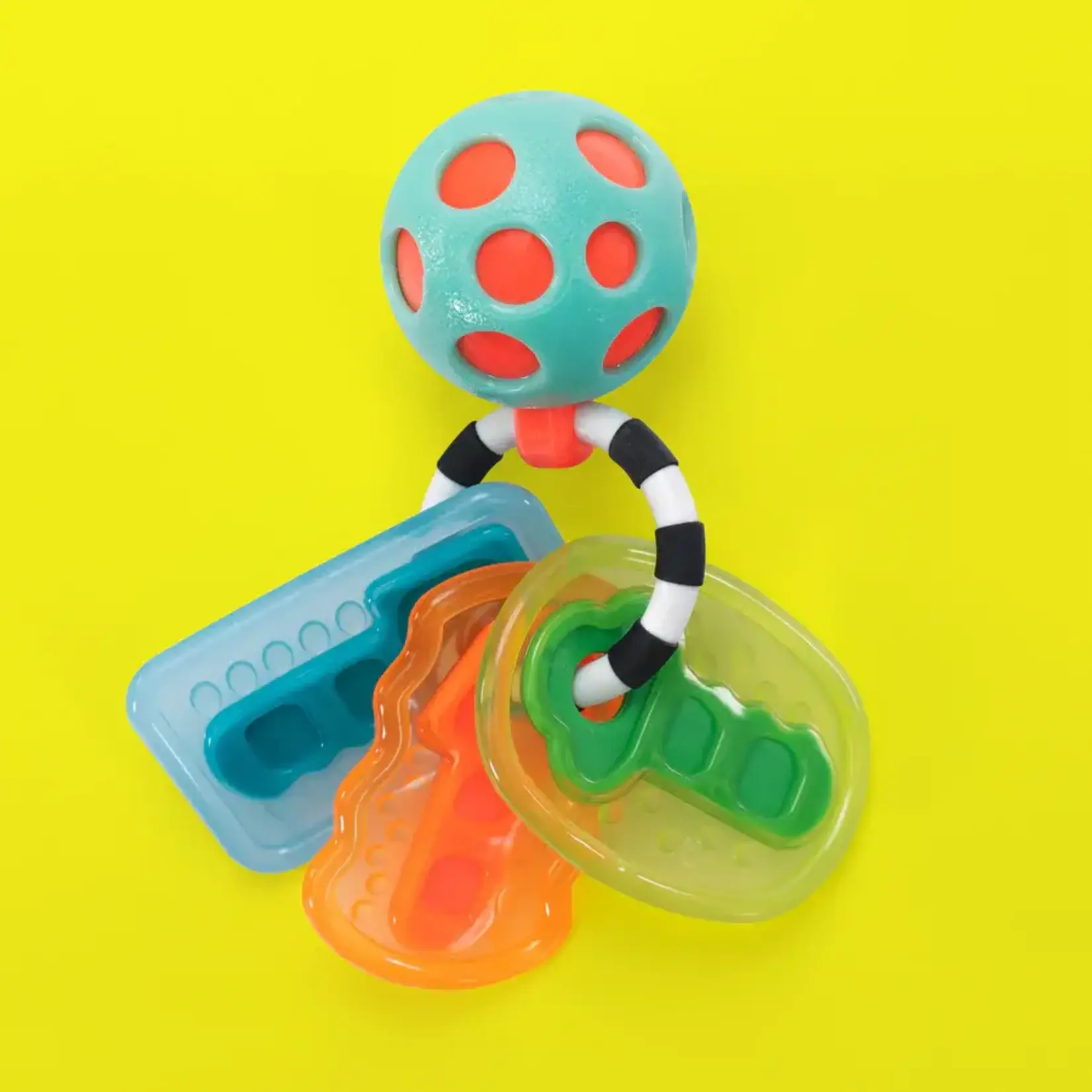 Sassy Sassy - Drive n' Drool Keys