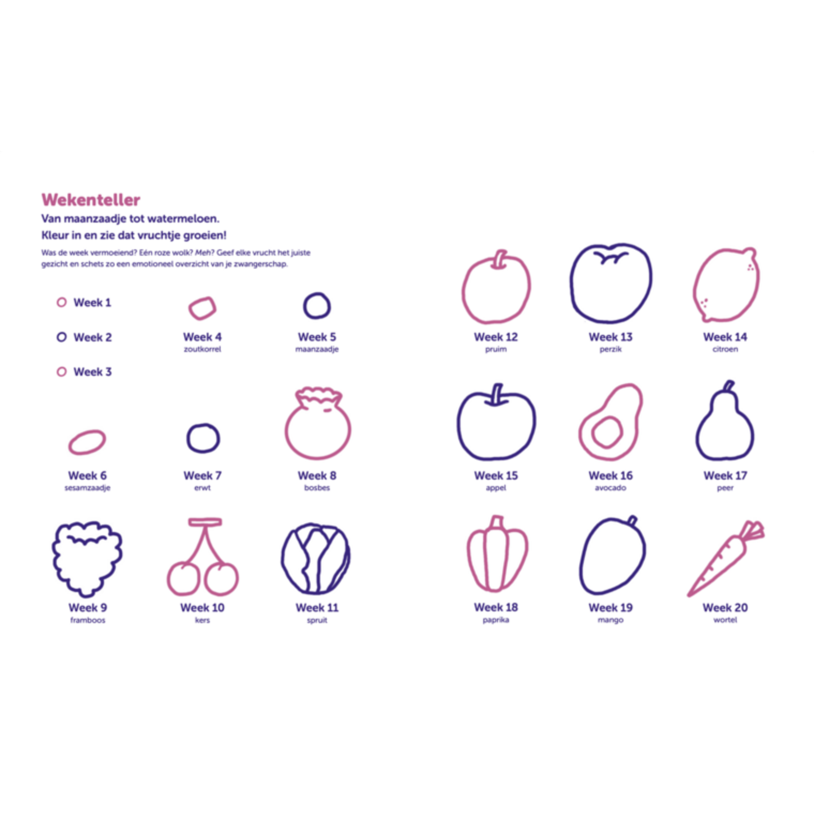 Eva Mouton Eva Mouton/Laura Van Bouchout - Hey Baby, In mijn buik