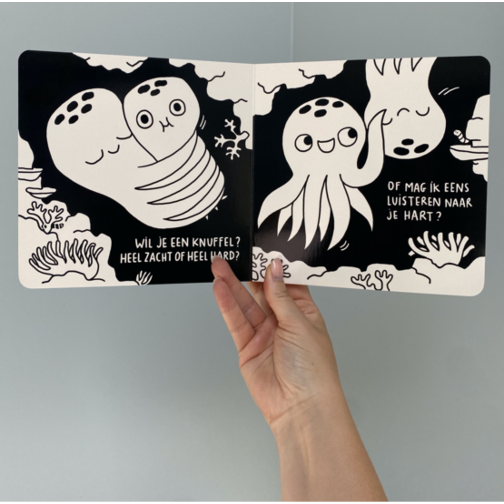 Eva Mouton Eva Mouton/Laura Van Bouchout - Boek Hey Baby, Dit of dat?