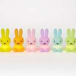 Mr Maria Mr Maria - Nijntje Bundle Of Light - Colourful Collection