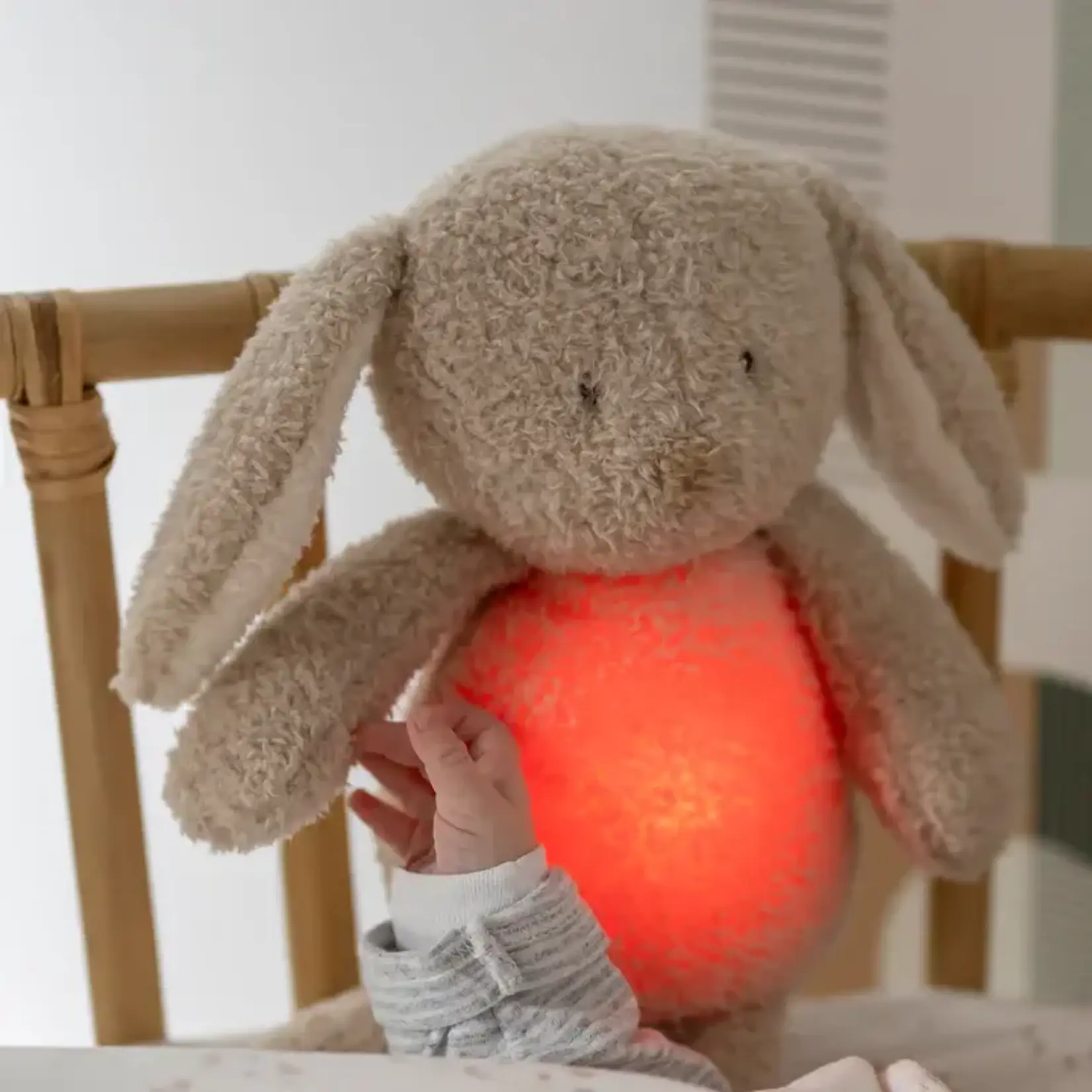 Nattou Nattou  - Nachtlamp en geluidenknuffel - Konijn sleepy beige