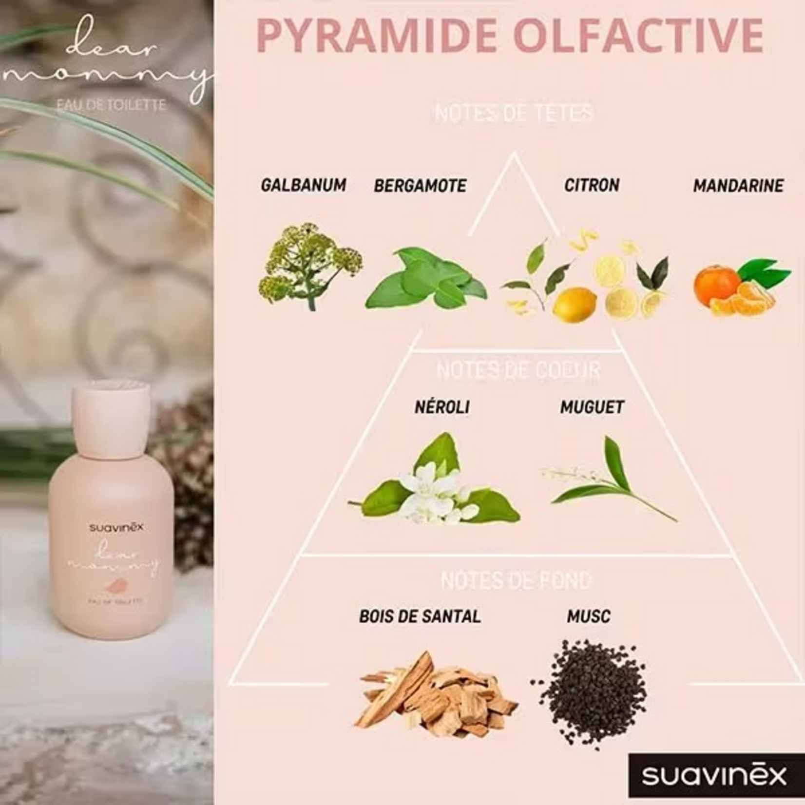 Suavinex Suavinex - Geschenkset Dear Mommy 100 Ml + Baby Cologne 100 Ml