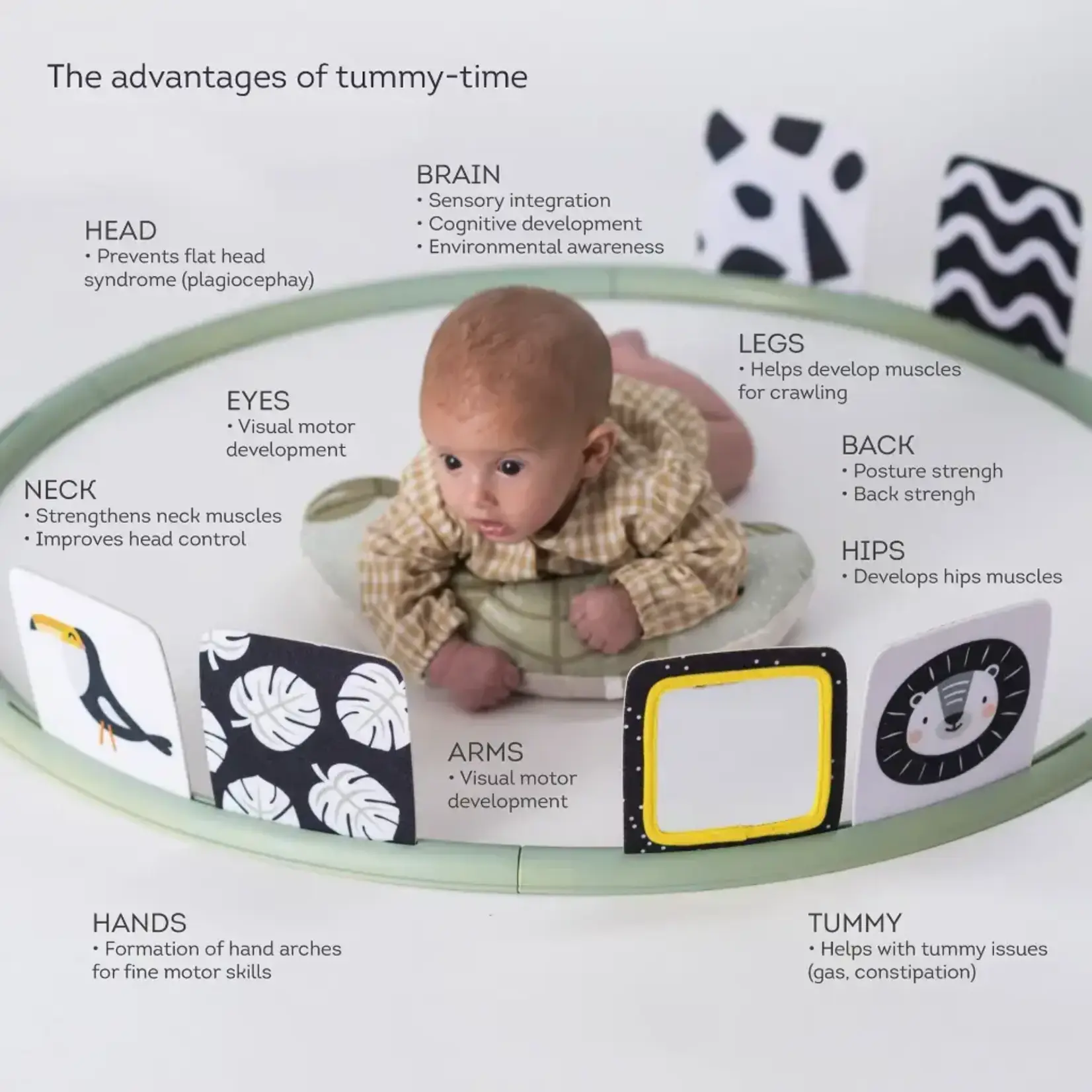 Taf Toys Taf Toys - Tummy-Time Trainer