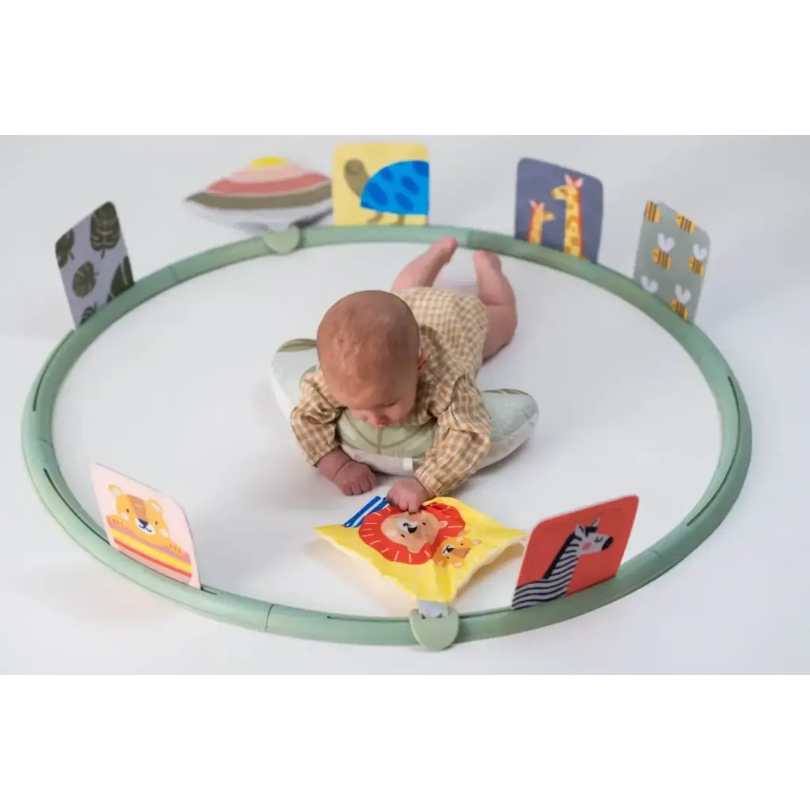 Taf Toys Taf Toys - Tummy-Time Trainer