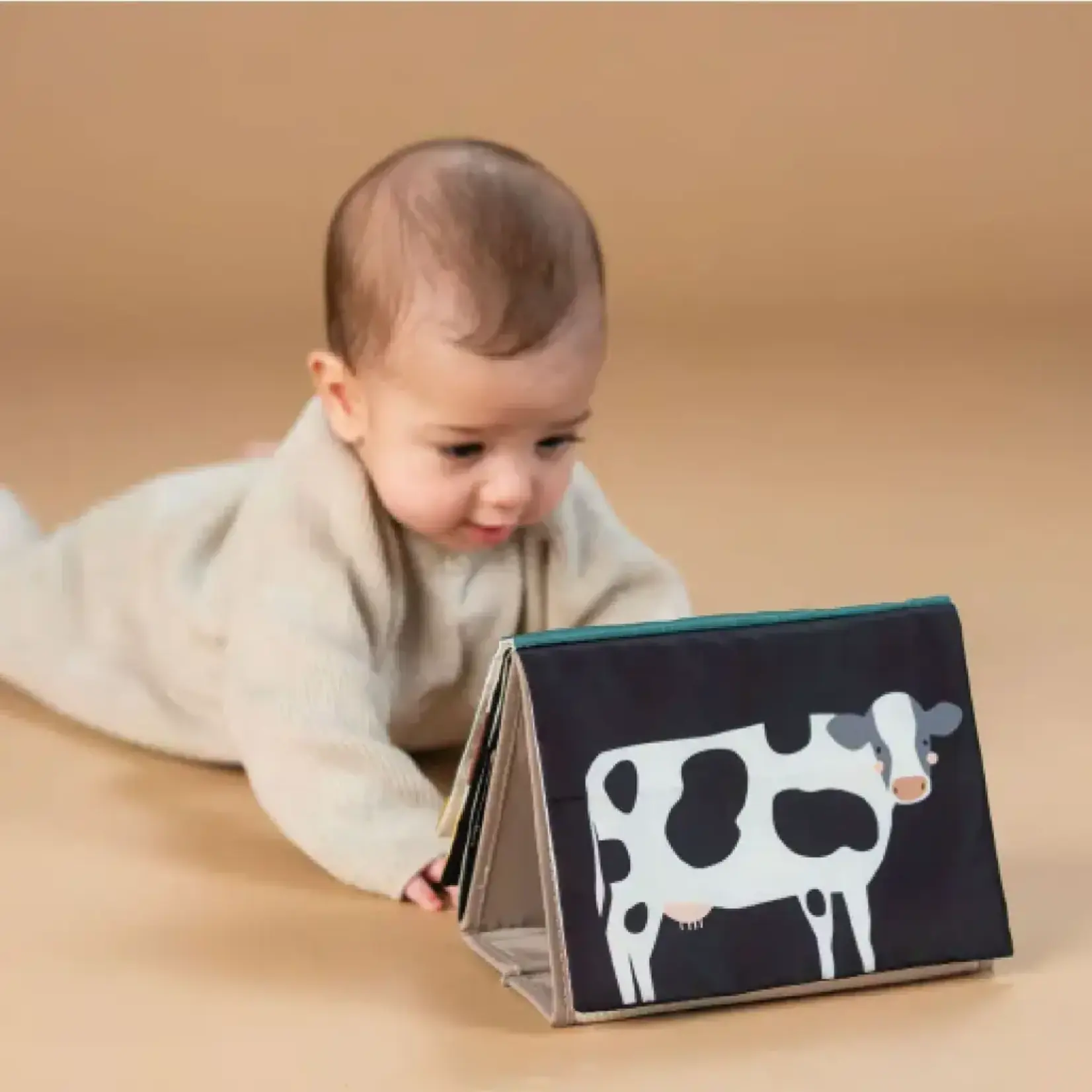 Taf Toys Taf Toys - Farm Musical Tummy-Time Book