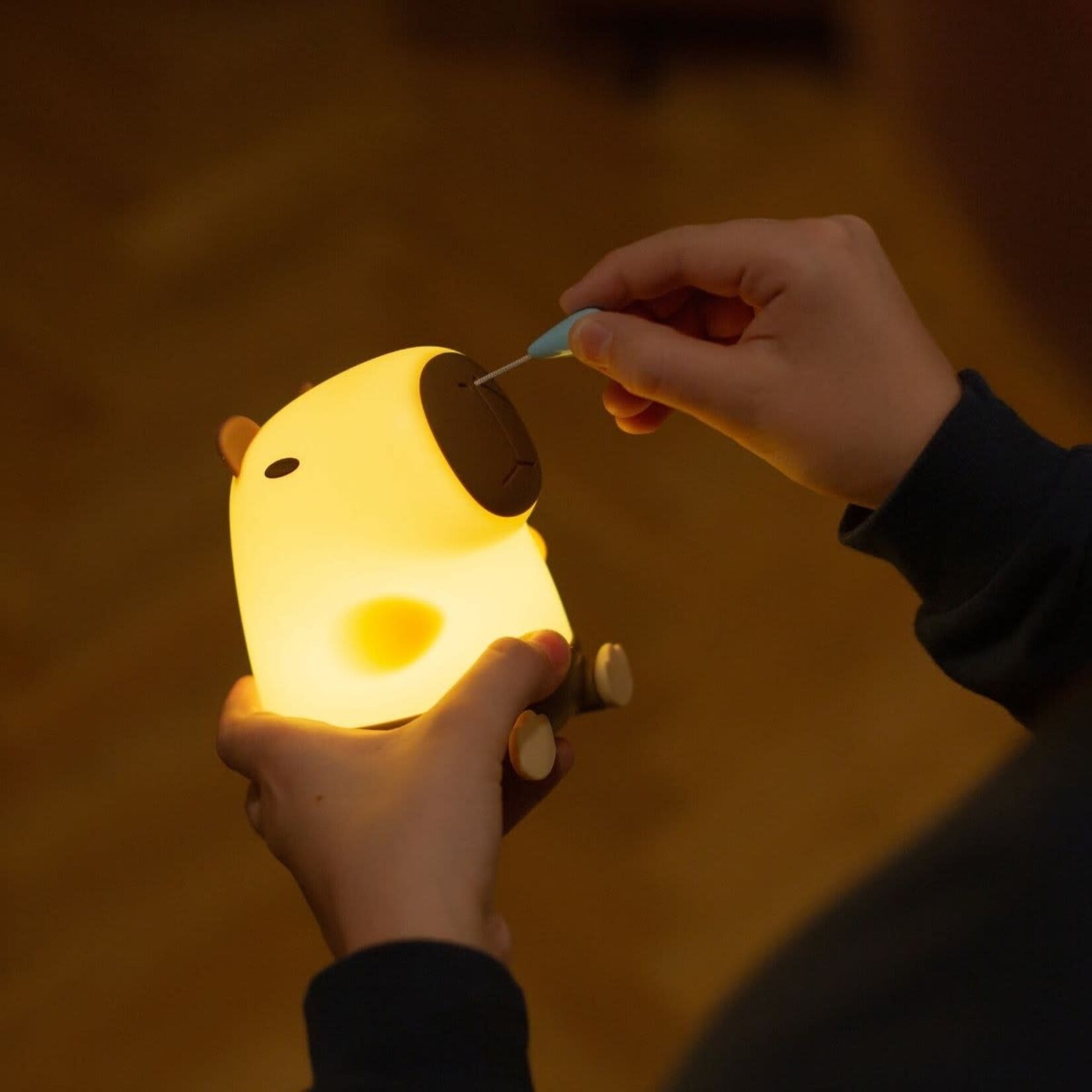 Mary's Mary's - LED LAMP - Kapibara Snotty