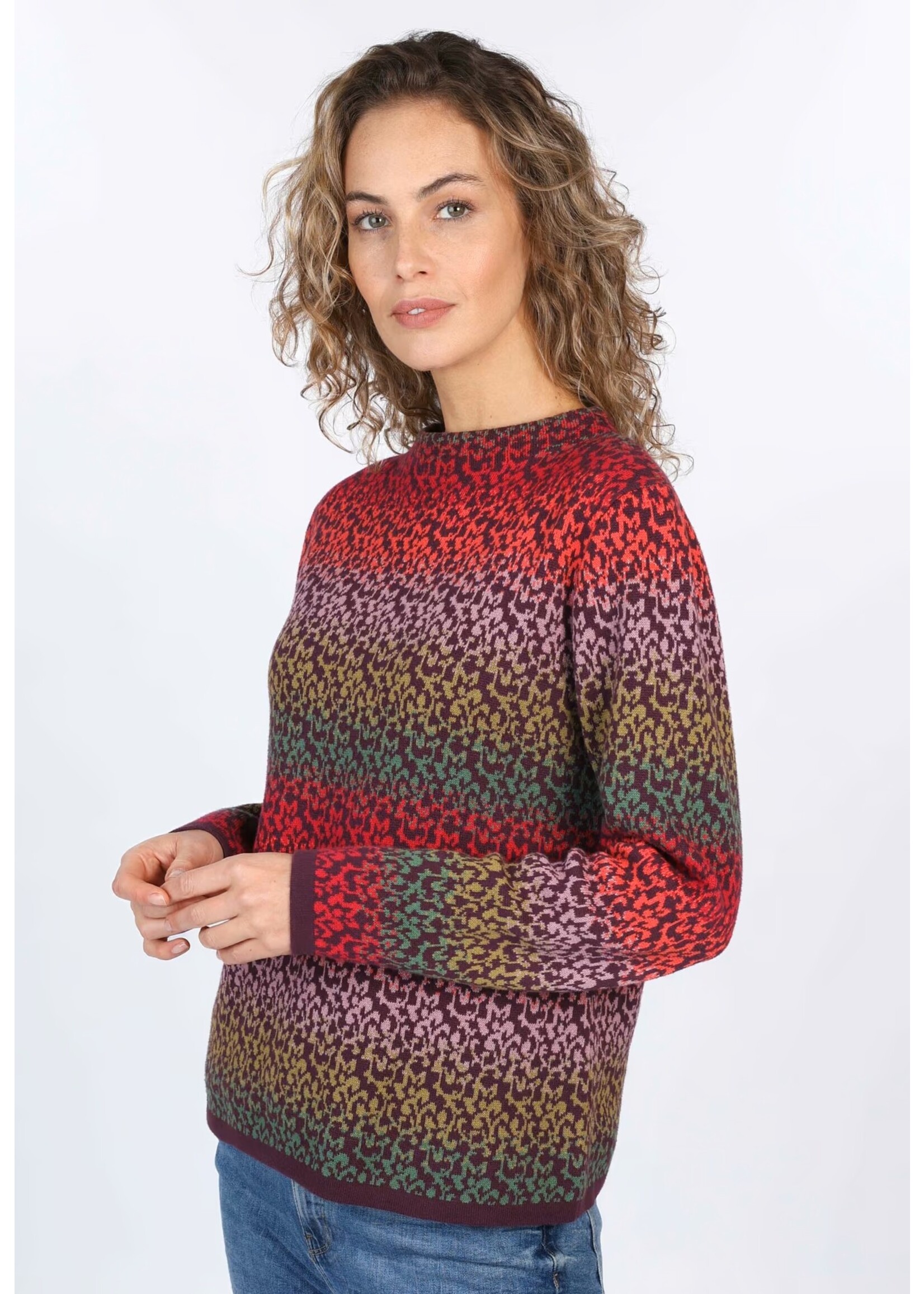 SORGENFRI SORGENFRI PULLOVER DORIT GRADIENT 02252-0100
