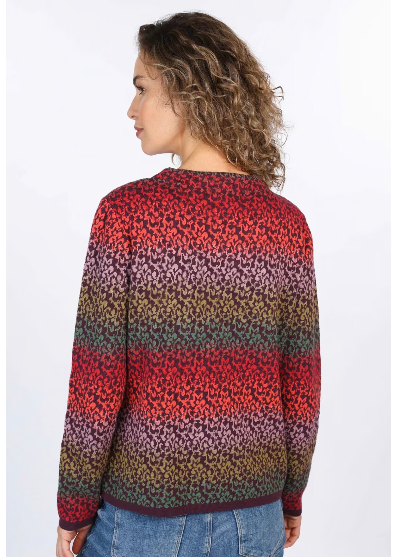 SORGENFRI SORGENFRI PULLOVER DORIT GRADIENT 02252-0100