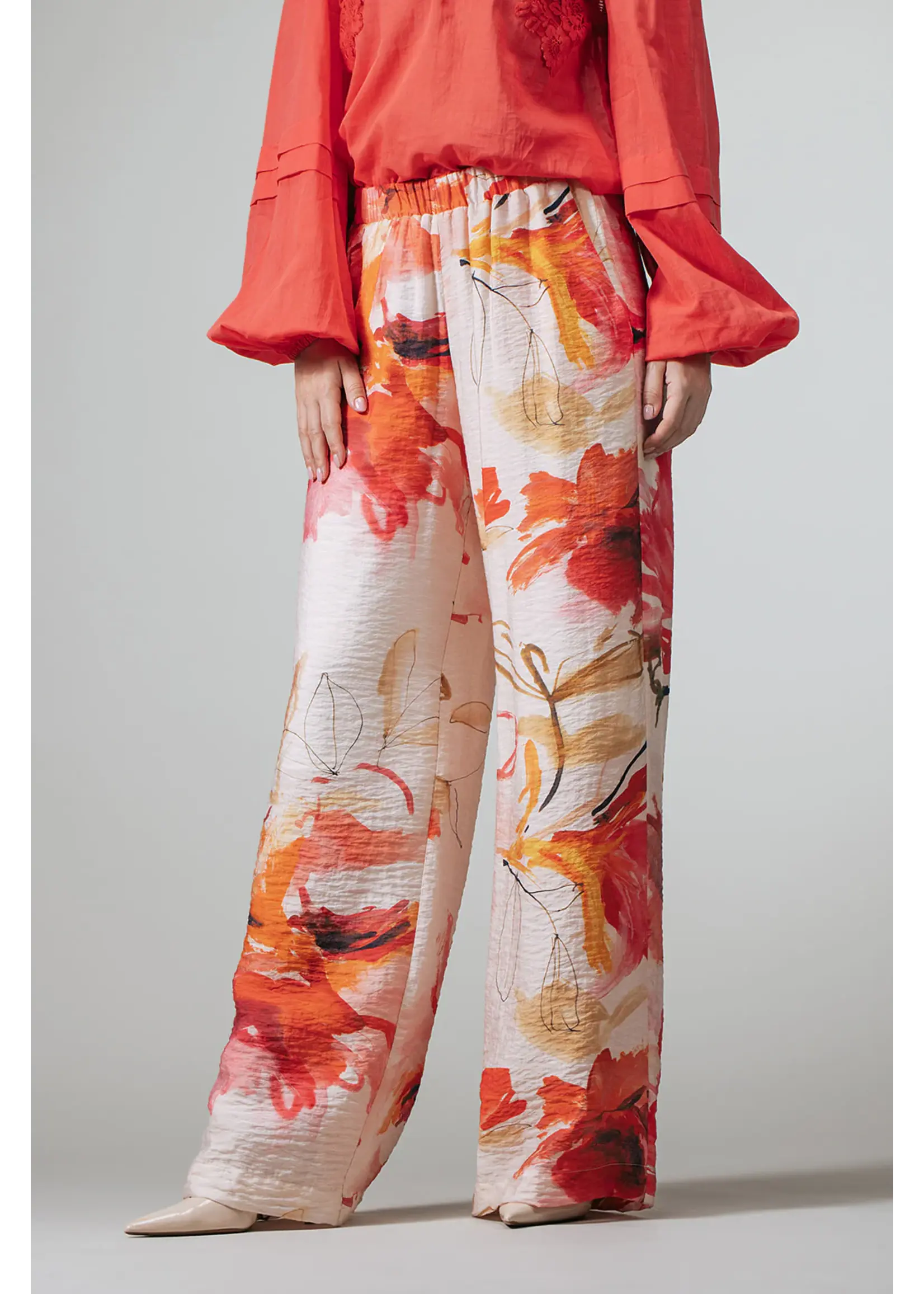 LABEL DOT LABEL DOT ROB 2618006