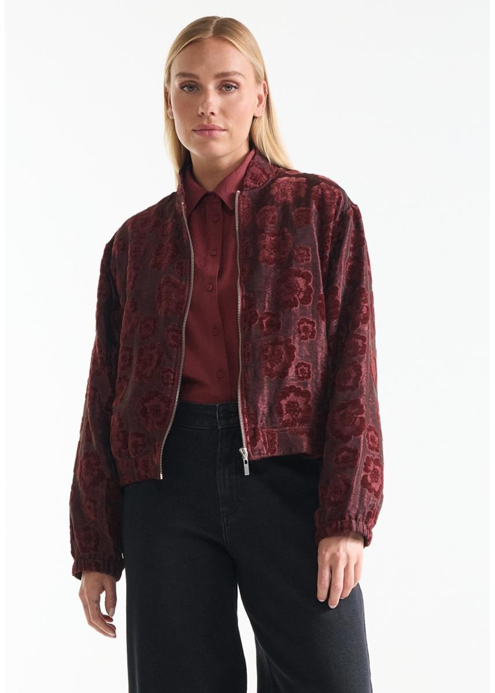 JANSEN JANSEN JASJE DAY VELVET VJ 219