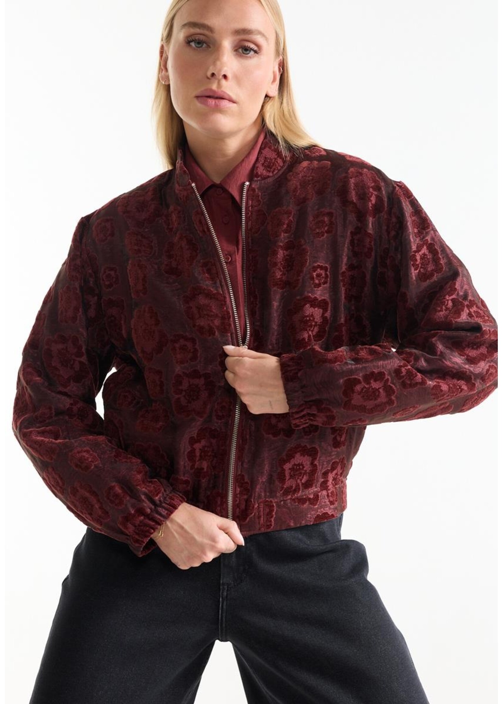 JANSEN JANSEN JASJE DAY VELVET VJ 219