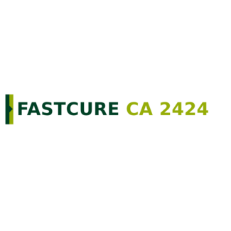 Fastcure Fastcure CA 2424