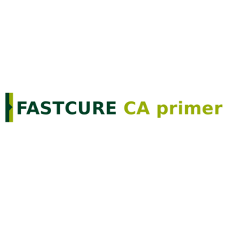 Fastcure Fastcure CA Primer