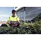 Husqvarna HUSQVARNA 522 iHD75 ACCU HEGGENSCHAAR INCL. BLUETOOTH