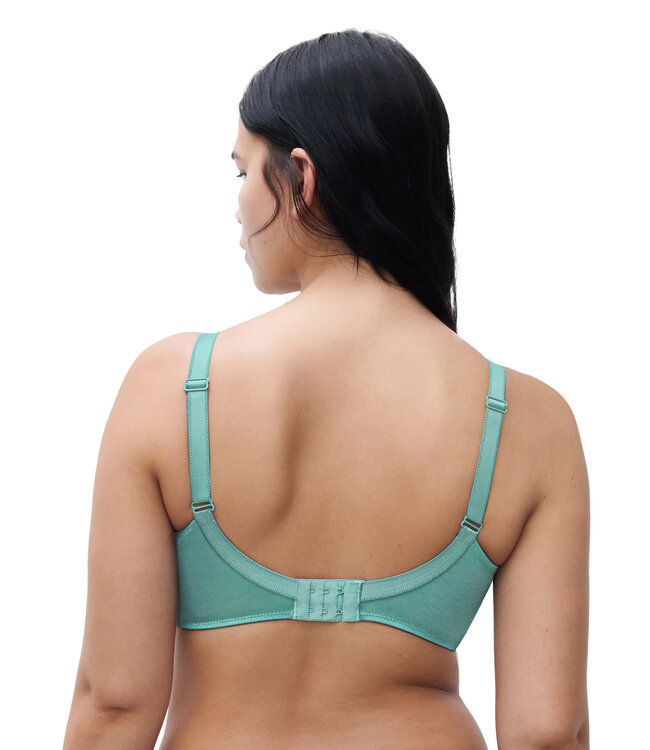 Chantelle 2031 HEDONA A27 NEW PEACOCK LUREX