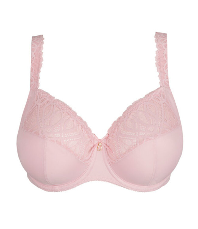 Prima Donna 0163530 SALERNO SPRING ROSE