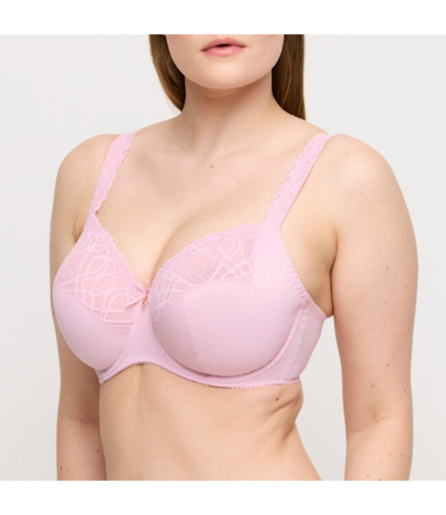 Prima Donna 0163530 SALERNO SPRING ROSE