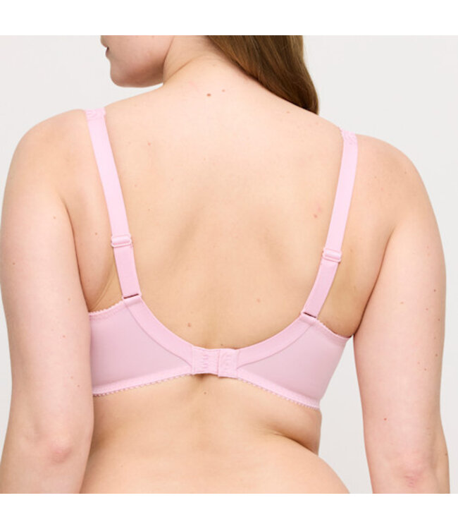 Prima Donna 0163530 SALERNO SPRING ROSE