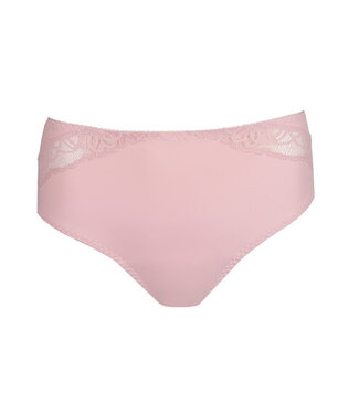 Prima Donna 0563531 SALERNO SPRING ROSE