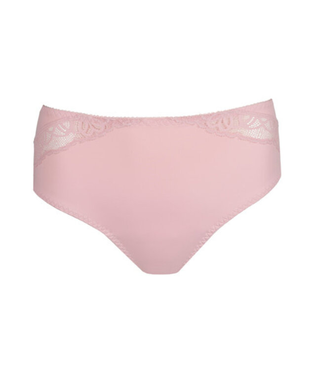 Prima Donna 0563531 SALERNO SPRING ROSE