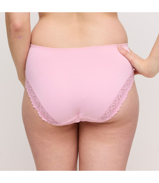 Prima Donna 0563531 SALERNO SPRING ROSE