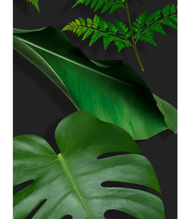 Snurk Amsterdam SWEATER WOMEN DARK FOREST