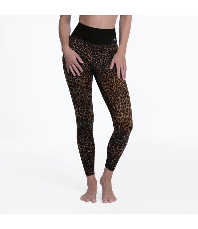 Anita 1676 187 GOLD CAT