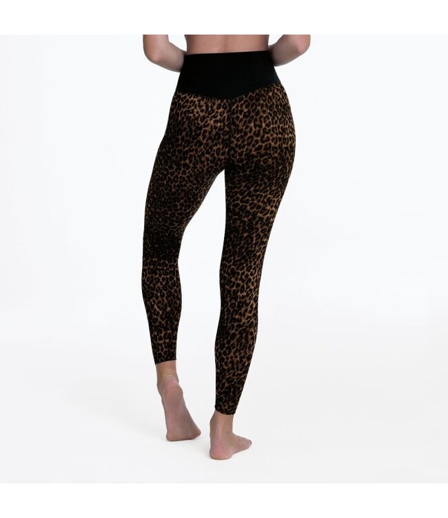 Anita 1676 187 GOLD CAT