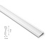 NMC Wallstyl WL6 (75 x 20 mm), lengte 2 m (NMC Deurlijst Rocco)