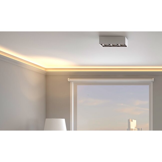 NMC  Wallstyl IL3 (50 x 32,5 mm), HDPS,  lengte 2 m